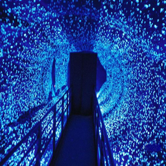 ワームホール　－驚異の錯覚体験アトラクション－